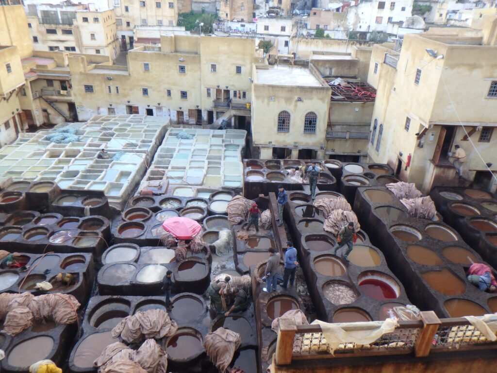 フェズのタンネリ革なめし工場（Fez Tanneries Morocco）