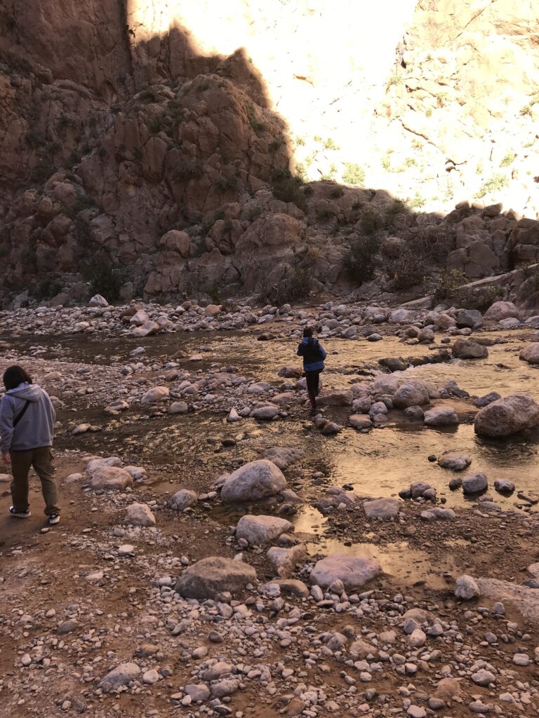 トドラ峡谷の谷底を流れる浅い川と石だらけの地面。通常時は歩いて渡れる水量の様子
