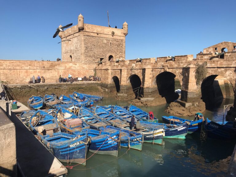 エッサウィラの港に並ぶ青い漁船。港町ならではの穏やかな雰囲気が広がる風景。