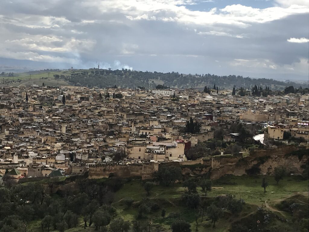メリニド朝の墓から見たフェズ旧市街の街並み（Fez Medina View Morocco）
