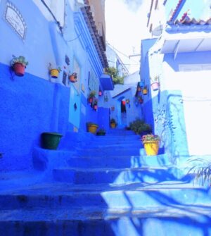 シャウエン カラフルな植木鉢の階段フォトスポット