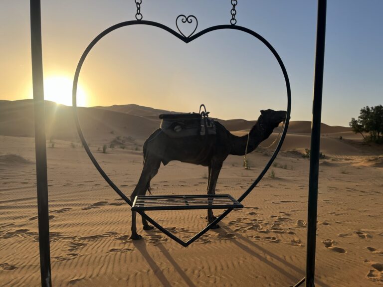 サハラ砂漠 ラクダ体験 夕日 砂丘 / camel ride in Sahara desert sunset dunes Morocco