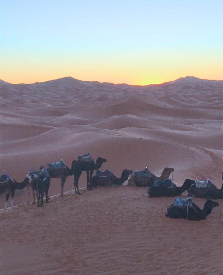 モロッコ・サハラ砂漠のラクダツアーと砂丘の夕焼け風景　Sahara Desert camel caravan at sunset