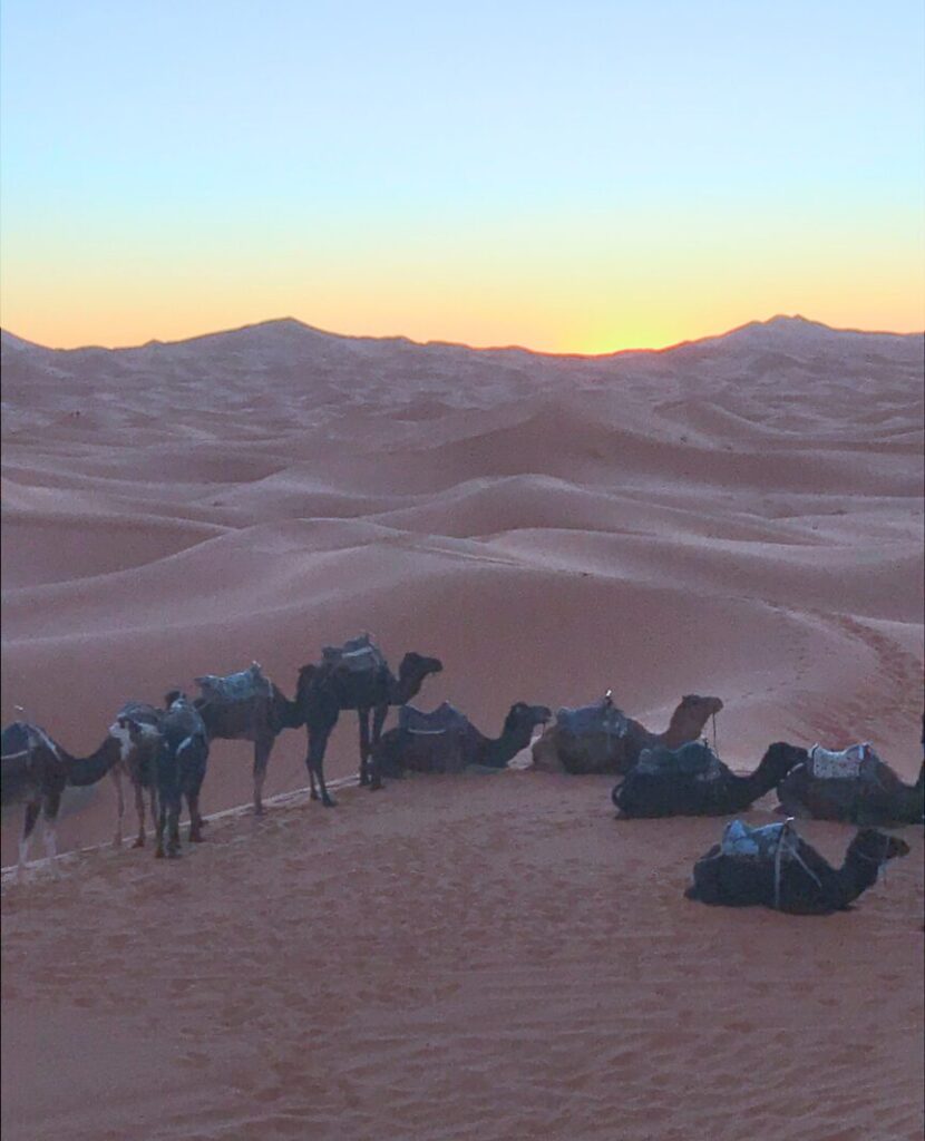 朝日のサハラ砂漠をラクダで進むツアーの様子　夕暮れのサハラ砂漠をラクダで進むツアーの様子